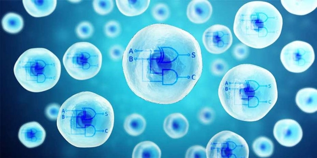 Учёные превратили клетку человека в двухъядерный биосинтетический процессор